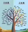 乐添国际总监之路 | 以我之名，点亮荣光