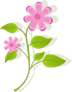 分割线